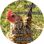 Animals are my Friends