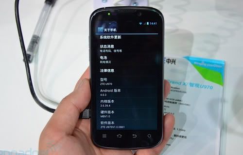 ZTE_Grand_X_8.jpg