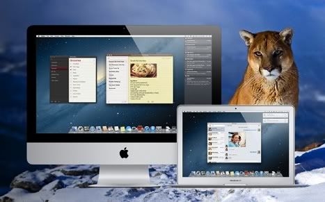 mountain-lion.jpg