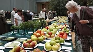 photo Rhsharvestfestival_zpse82b3e65.jpg