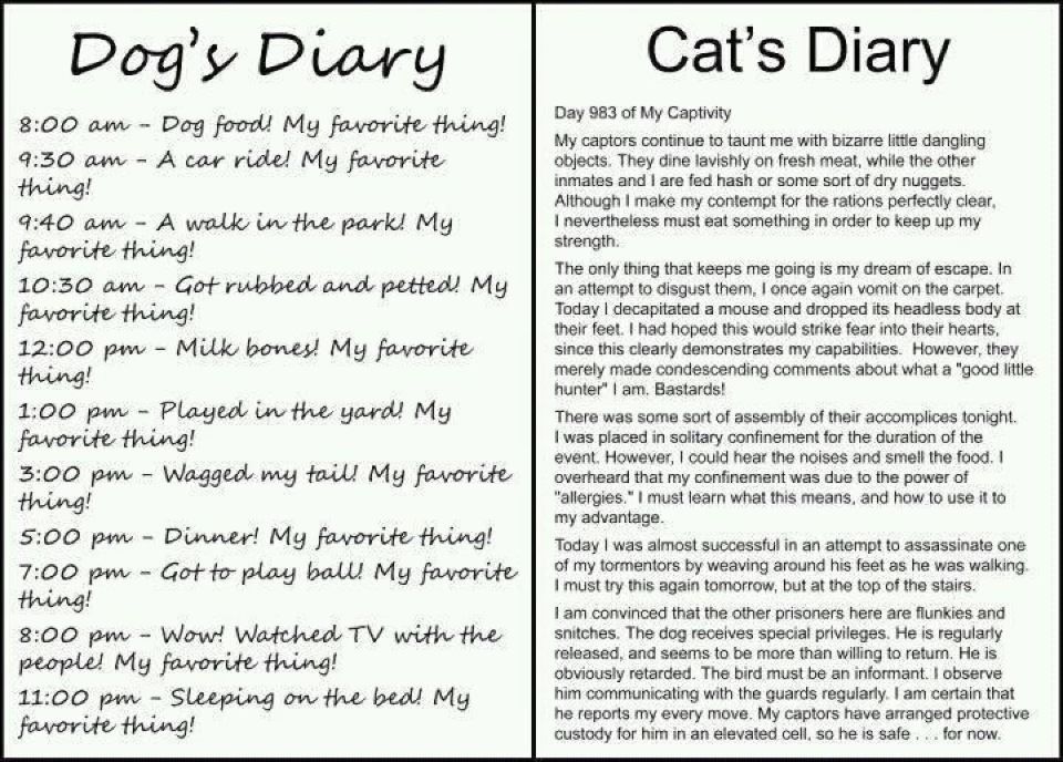 Dog and Cat Diaries - Countryside Families