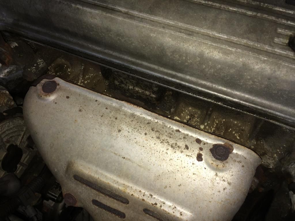 Disappearing Oil Toyota Nation Forum