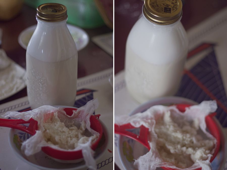 Nut Milk