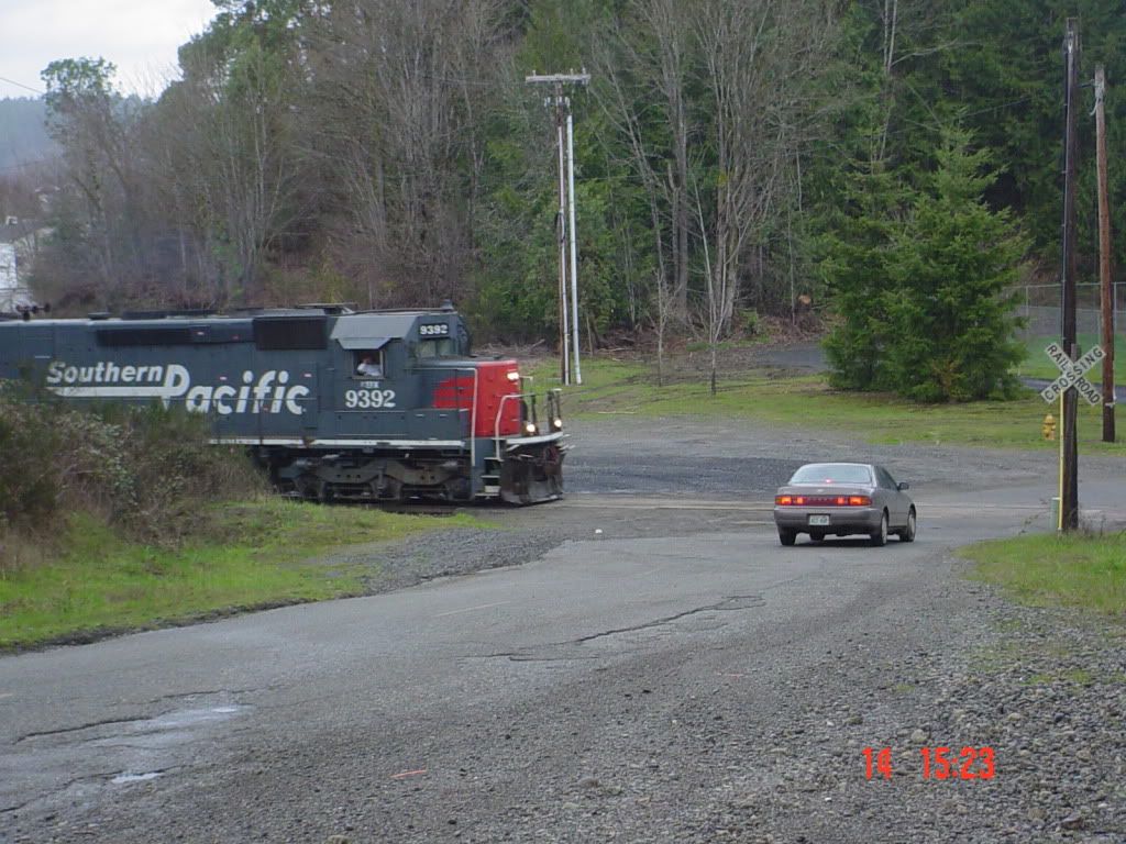 DSC00368.jpg