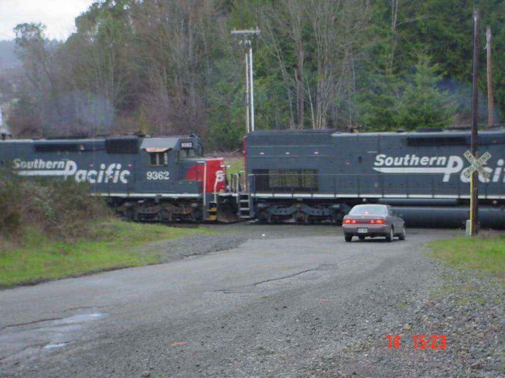 DSC00369.jpg