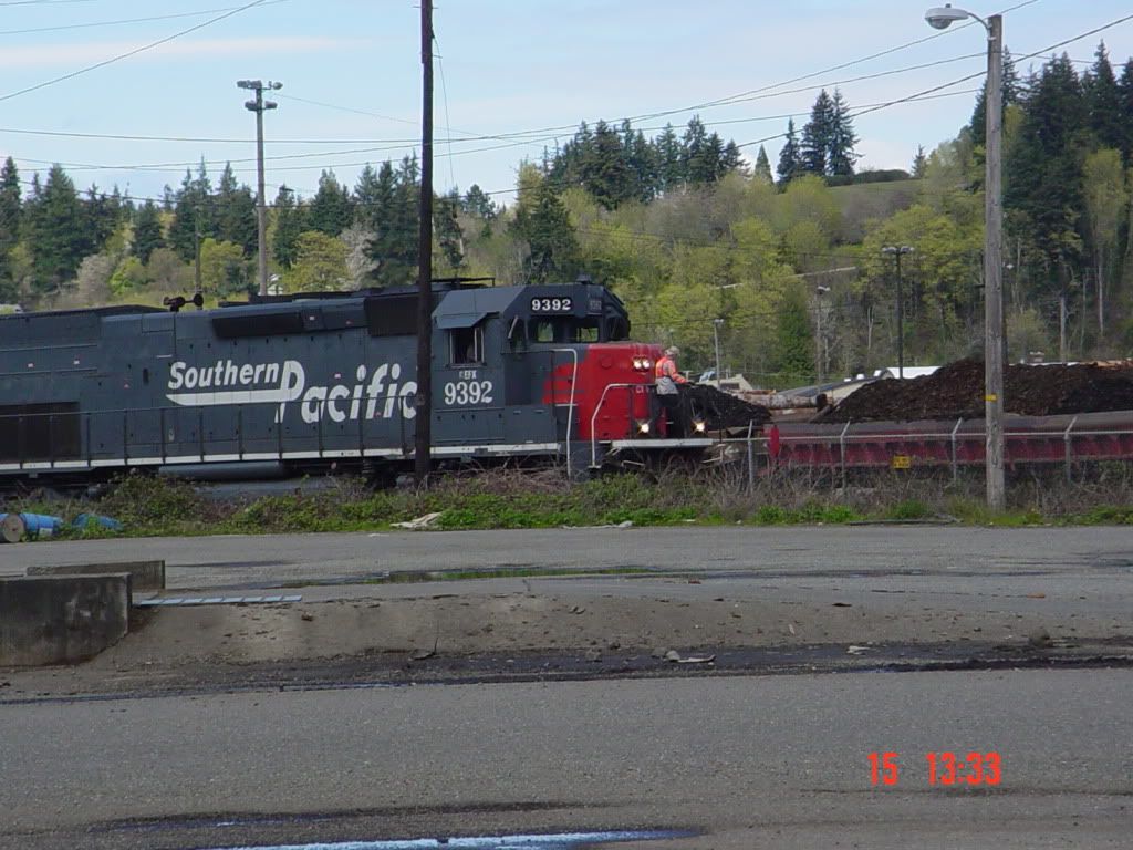 DSC00438.jpg