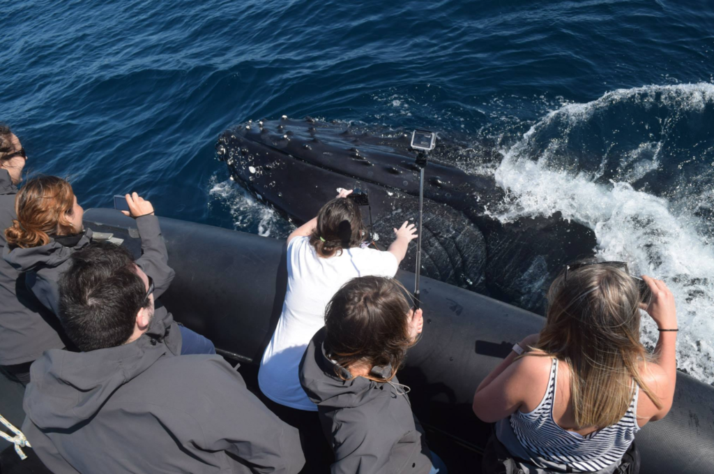  photo Screen Shot 2016-08-12 at 10.19.10 AM_zpse74hbyuf.png