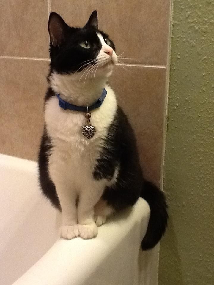 photo a104a727-8915-4aa3-a375-f985853d4e21.jpg