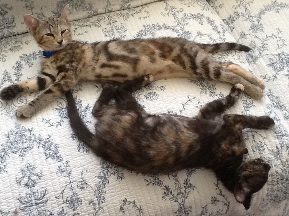 photo image.jpg1_1.jpg