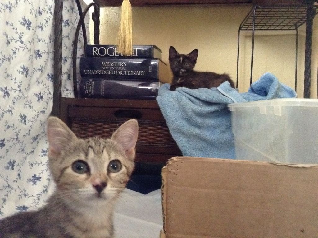 photo image.jpg1_2.jpg