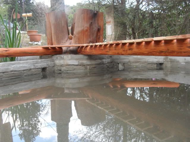 ElEstanque.com - Ver Tema - CASCADA ,ARROYITO Y ESTANQUE , EN TERRENO