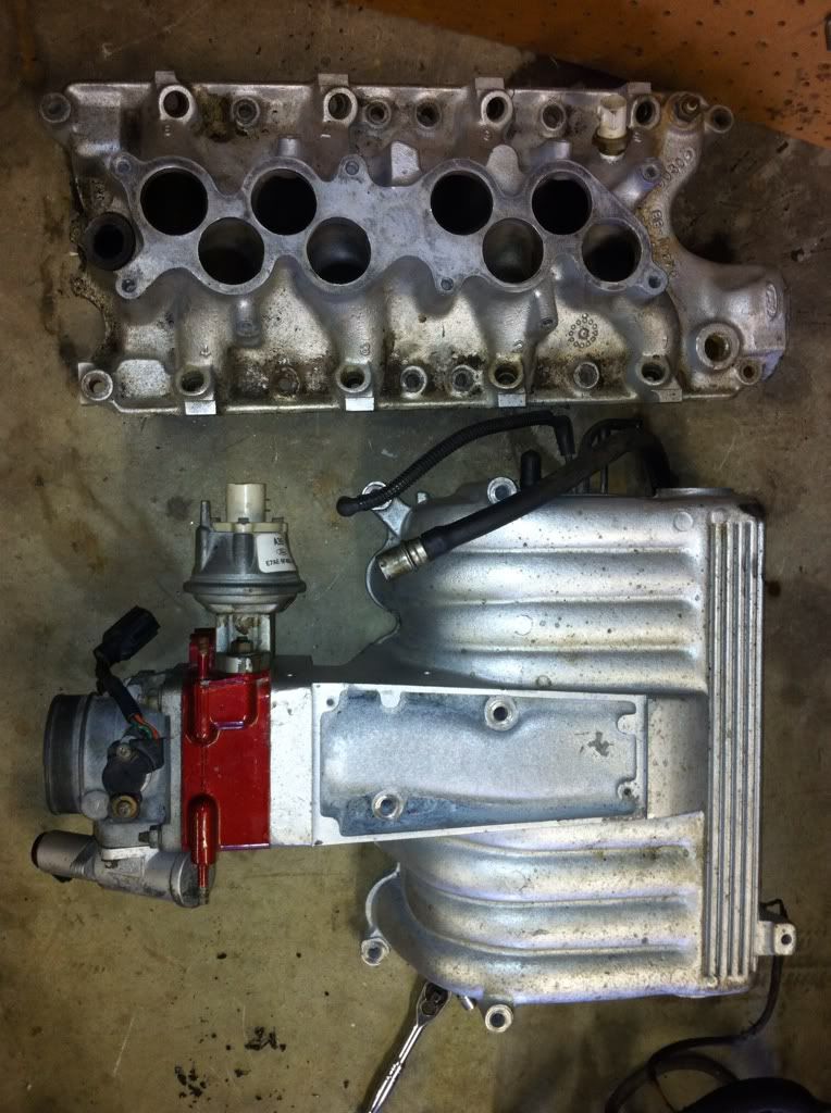 For Sale Explorer GT40 intake 65mm t/b and egr spacer Ford Mustang