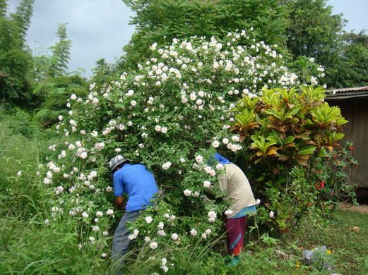  photo J8337301-15_zps2cd5f10d.jpg