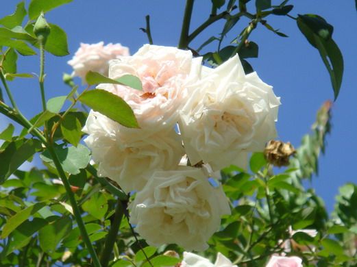  photo J8337301-21_zpsb6545ecd.jpg