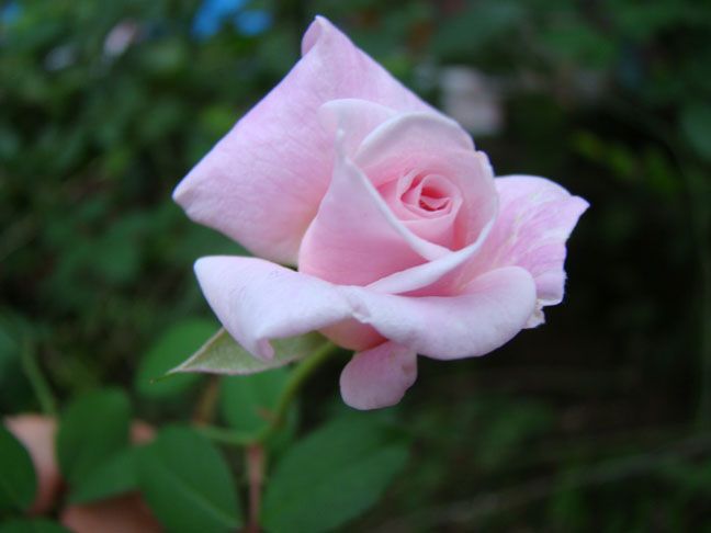  photo J8337301-38_zpsf9417f1b.jpg