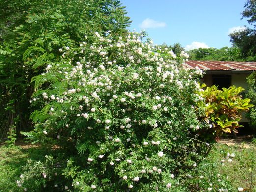  photo J8337301-5_zps1d4264cb.jpg