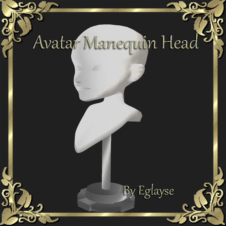  photo avatar manequin head .png