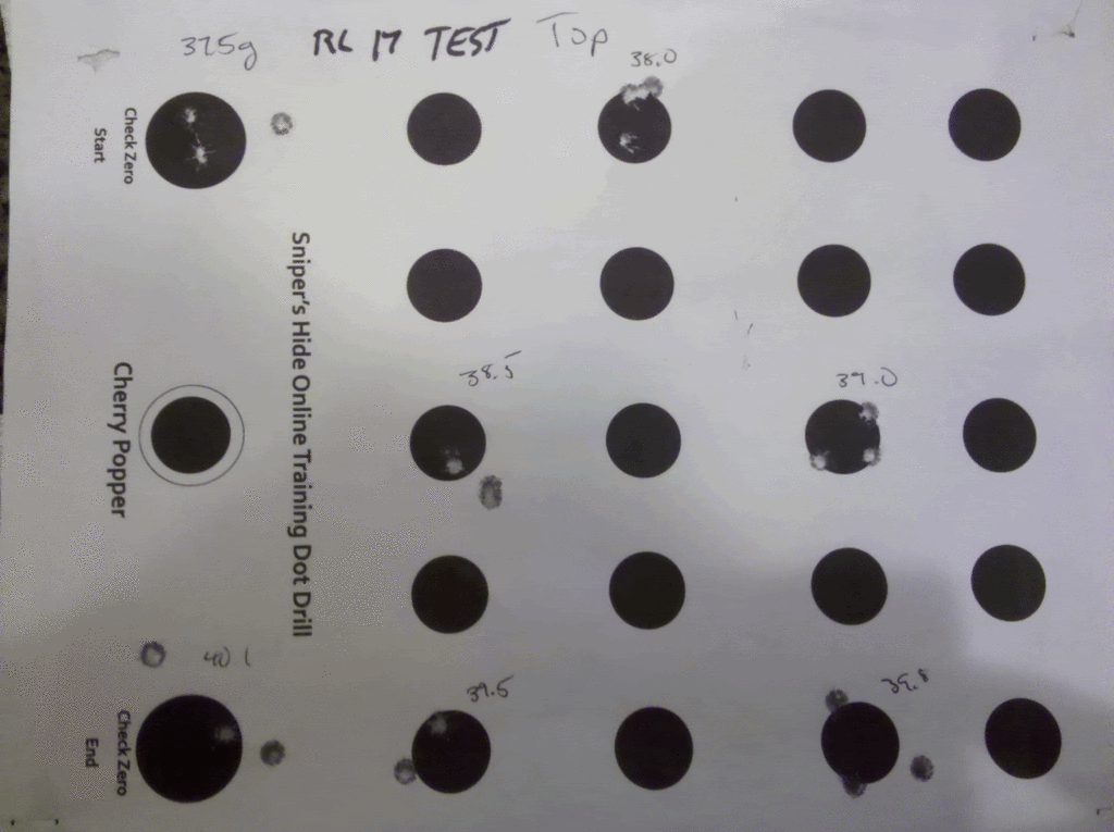 RL17test.gif