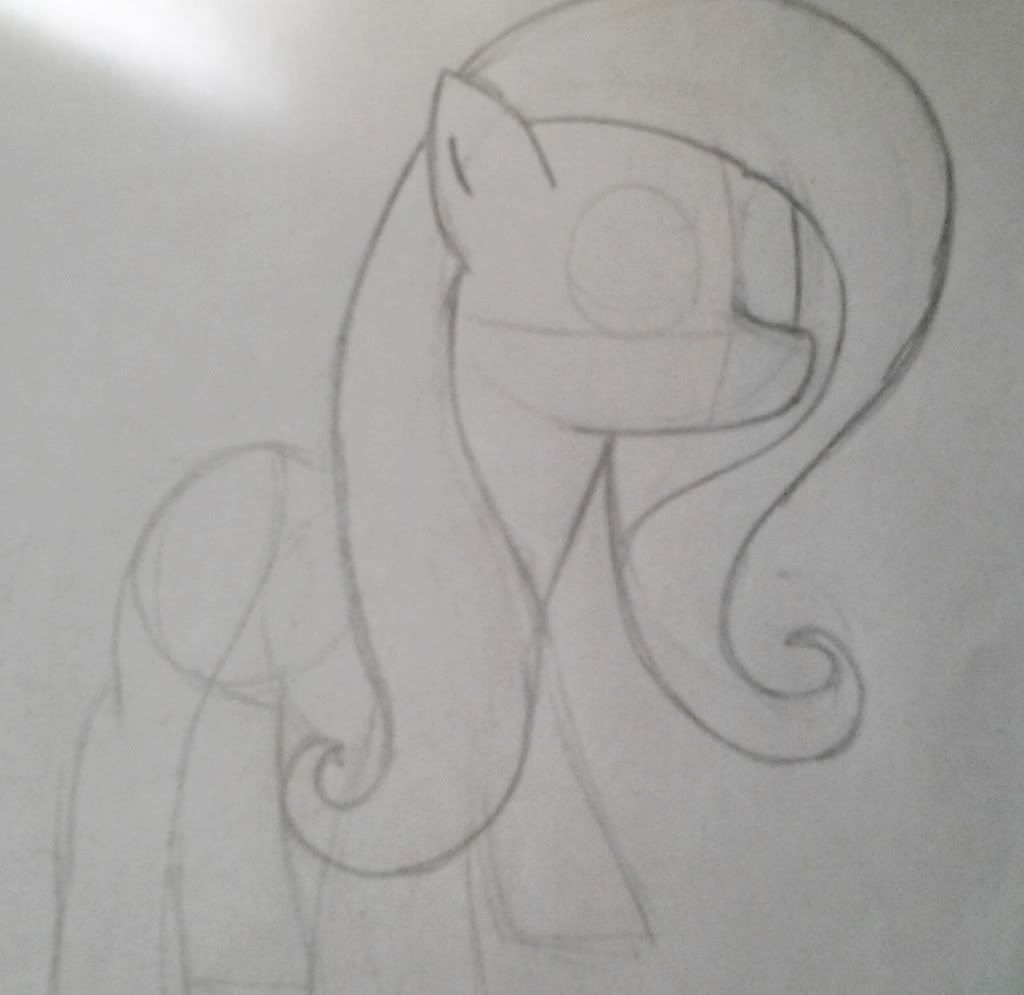 fluttershy